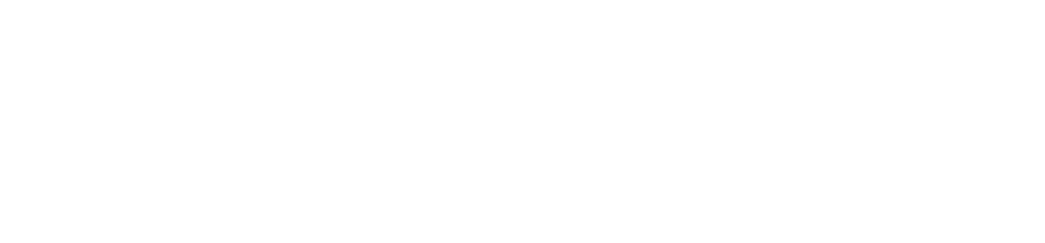 the_new_boston_transparent_white_2025 (1)